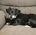 Dawn Brewster - Facebook