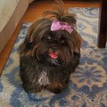 Dawn Brewster Turner - @debrewster - Instagram