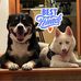 Dawn Bricker Miller - Facebook