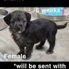 Dawn Marie Bricker - @dawn.marie.bricke - TikTok