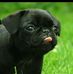 Dawn Briscoe - Facebook