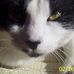 Dawn Browne - Facebook