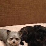 Dawn Brule - @dbrule2008 - Instagram