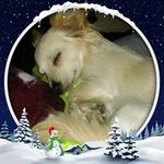 Dawn Brule Adams - @dawn_brule_adams - Instagram