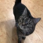 Dawn Bruno - @dawn.bruno.142 - Instagram