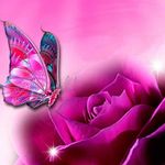 Dawn Bryan - @dawnbryan1434 - Instagram