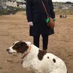 Dawn Buchanan - @the_woozle - Instagram