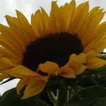 Dawn Bunn - @dawn.bunn.9 - Instagram