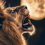 Dawn Burkhart Burns - @dburns95 - Instagram