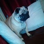Dawn Burnett - @burnett6078 - Instagram
