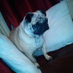 Dawn Burnett - @dawn.burnett.965 - Instagram
