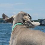 Dawn Burnham - @burnhamdawn2021 - Instagram