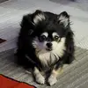 Dawn Burroughs - @dawn.burroughs8 - TikTok