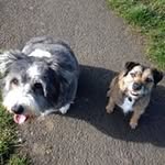 Dawn Butters - @dawnbutters - Instagram