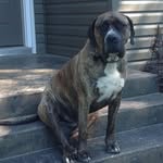 Dawn Byers - @byersdawn5 - Instagram
