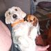 Dawn Byers - Facebook