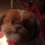 Dawn Cain - @dawncain6253 - Instagram