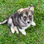 Dawn Cain - @dawn.bailey.142687 - Instagram