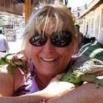 Dawn Cain - @drcain59 - Instagram