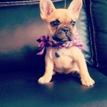 Dawn Cain - @ddcain.dc - Instagram