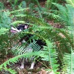Dawn Calkins-Montgomery - @dawn.calkins.7 - Instagram