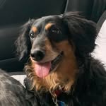 Dawn Bradburn Canada - @dawnbradburncanada - Instagram
