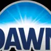 DAWN CANADA - @dawncanad - TikTok