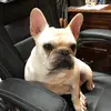 DawnyKristine - @dawnkcausey - TikTok