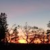Dawn Cavanaugh - Facebook