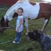 Dawn Cecil - Facebook