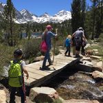 Dawn Cheney - @journeyboundwithdawn - Instagram