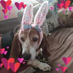 Dawn Cheney - @dawn.cheney.5 - Instagram