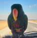 Dawn Cheney - Facebook