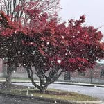 Dawn Clauson - @dawn_clauson - Instagram