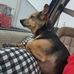Dawn Cochran - Facebook