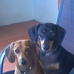 Dawn Coetzee - @coetzeedawn - Instagram