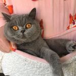 Dawn Cogan - @cogan.dawn - Instagram