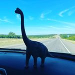 Dawn Colón - @adventuretimedinos - Instagram