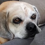 Dawn Conklin - @conklin.dawn - Instagram