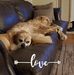 Dawn Conklin - Facebook