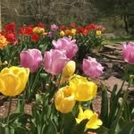 Dawn Quinan Conklin - @dawn.quinan.conklin - Instagram
