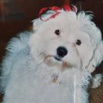 Dawn Connell - @dawn.connell.3914 - Instagram