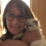 Dawn Remenda Conner - @dawnremendaconner - Instagram