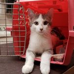 Dawn Considine - @dawn.considine.56 - Instagram