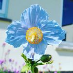Dawn Considine - @dndconsidine - Instagram