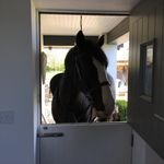 Dawn Considine-williams - @dconsidinewilliams - Instagram