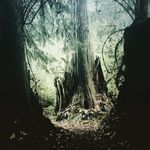 Dawn Conway - @dnd1021 - Instagram