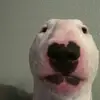 cool.dawn - @cool.dawn - TikTok