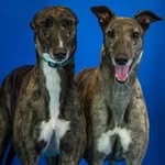 Dawn Cool Curtis - @dawncoolcurtis - Instagram