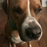 Dawn Coolbeth - @dscoolbeth - Instagram